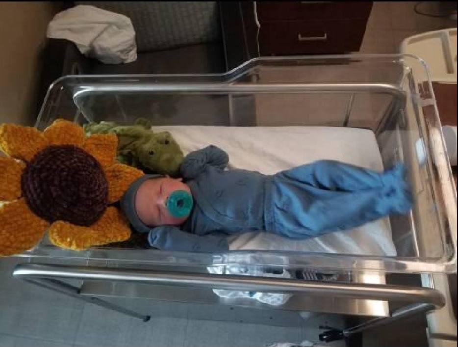 Sunflower Crochet Pattern PDF | Lovey Snuggler